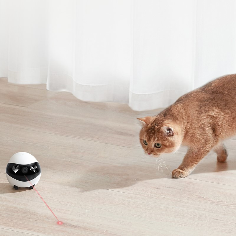 Interaktiver Laser für Haustiere